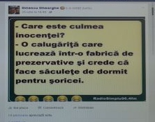 gheorghe dinescu pnctd arges (1)