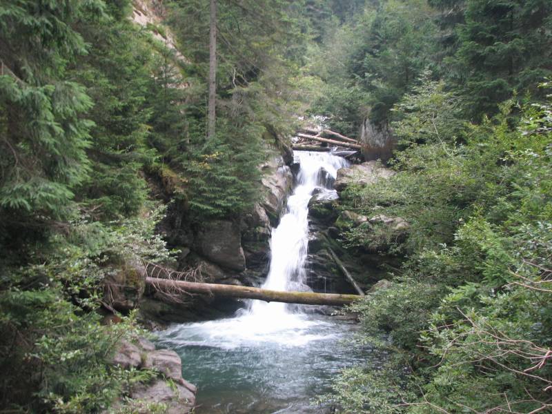 valea valsanului arges
