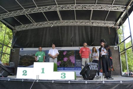 ion manzana cj arges vicepresedinte