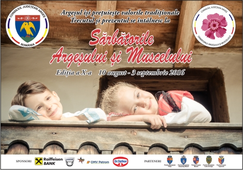consiliul judetean arges
